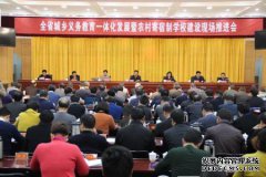 直接政变：十省的真正含义，“强力扩张县力”