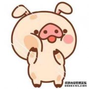 王洋对继子变得悲惨，她的丈夫有超过6900万的赌