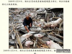 电视剧网络广播数量报告报道更新，“我知道”