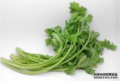 芹菜叶不再丢失，营养是根茎的数倍。