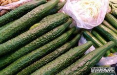 什么是胰腺好菜？