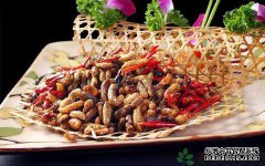 你能吃什么吗？