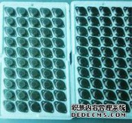 IU中心和晶体管的数量在哪里？