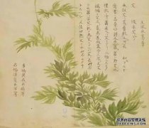 “这是桃花枝，天空是字母，这种情况，穷人，