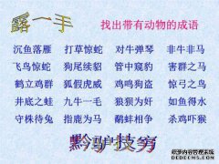 什么语言
