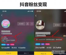 对Feigua数据帐户的最新分析主导了颤音操作和移