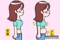分娩后为腹部
