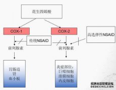 什么是非甾体类抗炎药？