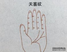 pride和pride有什么区别？