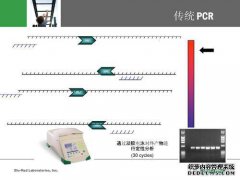 实时定量PCR相对定量方法中RQ的含义是什么？
