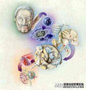 [美国血液2018年年会]多发性骨髓瘤的临床进展
