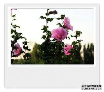 [6气不好]