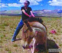 人们为什么看到别人杀死动物？